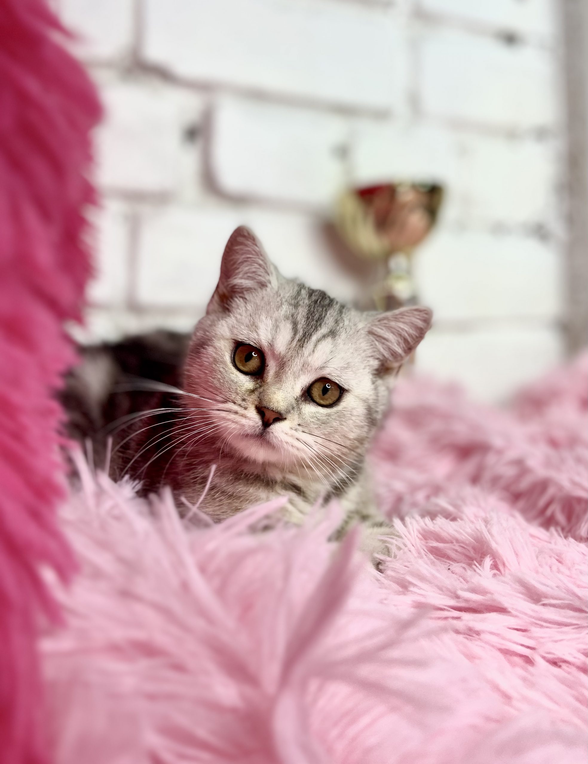 B8C15208-F325-4C9F-B945-A046CA2B6034