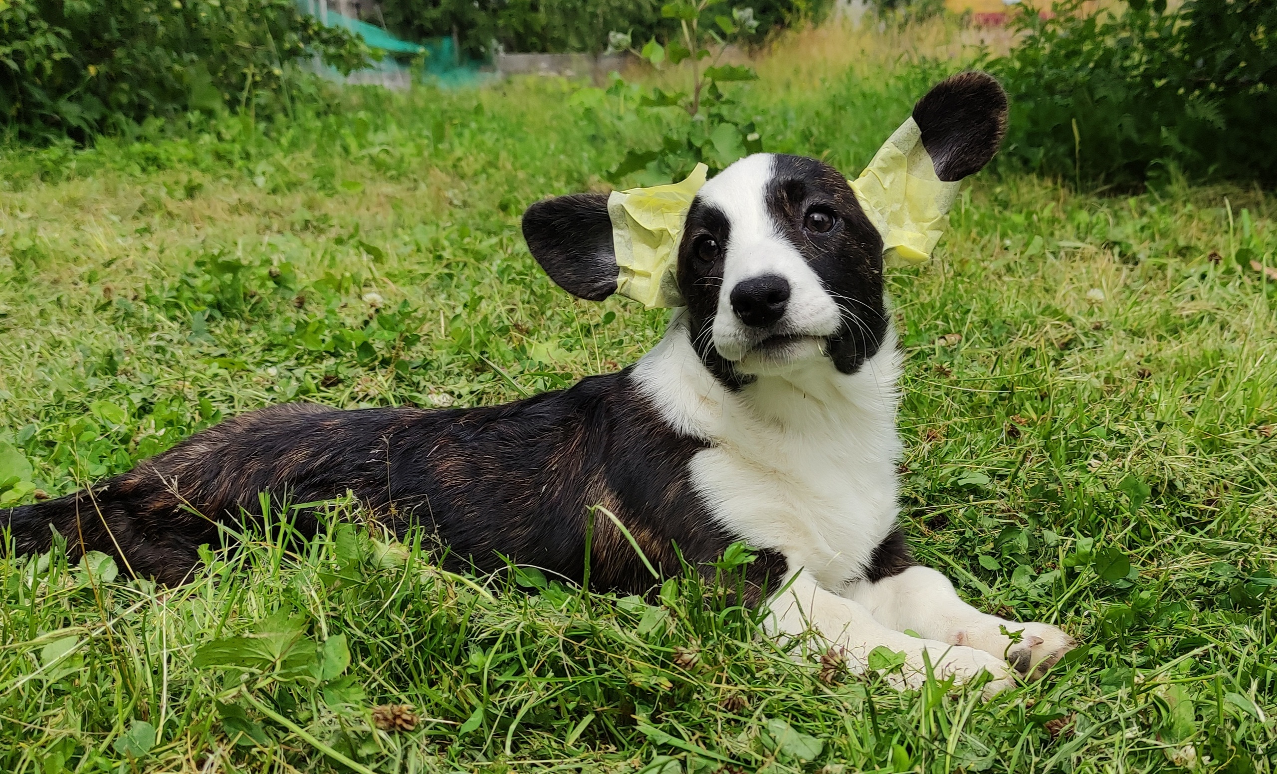 BnbkigjD969KnqyZWWyOhZOAu7cnOjqXDNPHEcJjhkBLpVIcGjzk7AKnxDsExylRoIcuzfNVlCRtw2Aw8bkMZdOs