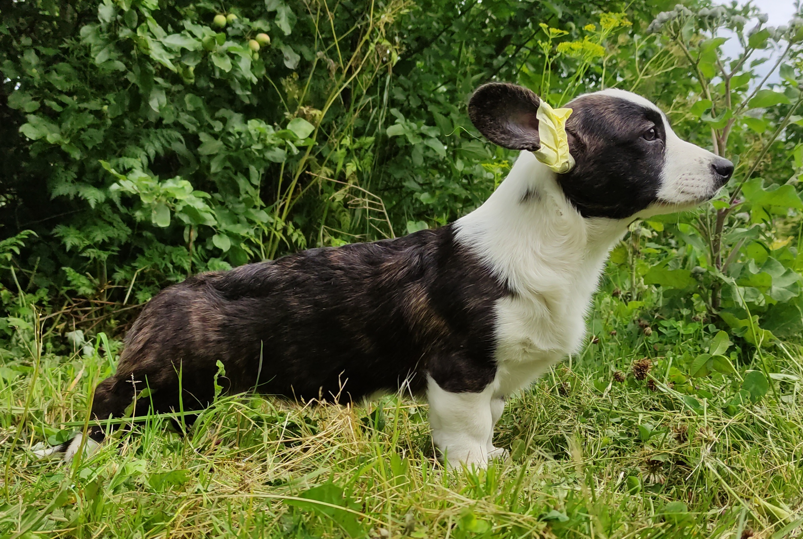 BptfMkTJGwcNzzPGkQmW9-bVkroEhfSfgYkEe1rdi2zkJcw1RIqpRmn8JiHjHTGuqFN06Jq-Sd27ZcpxFlb0_ZBM