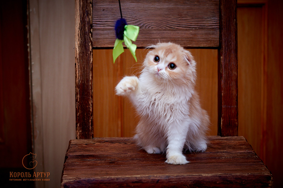 IMG_2232_2022-07-27-inst