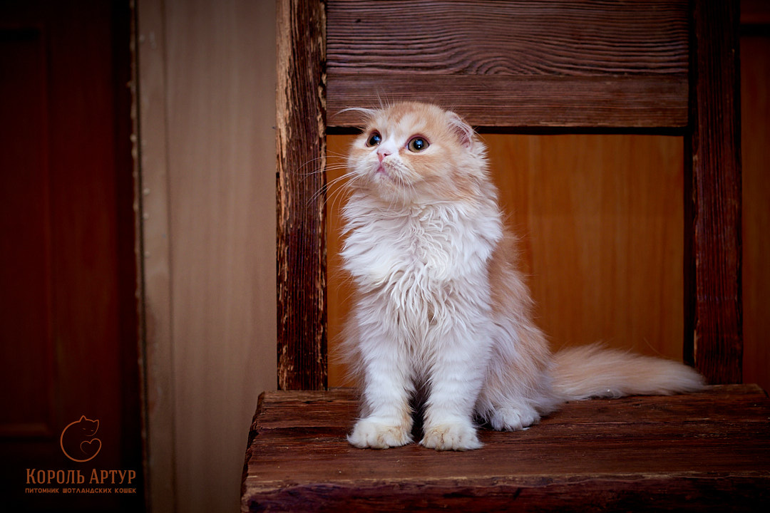 IMG_2244_2022-07-27-inst