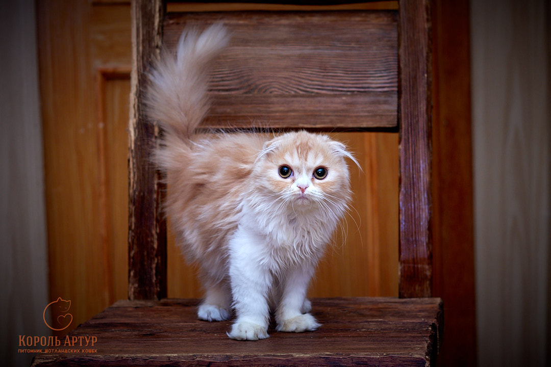 IMG_2257_2022-07-27-inst