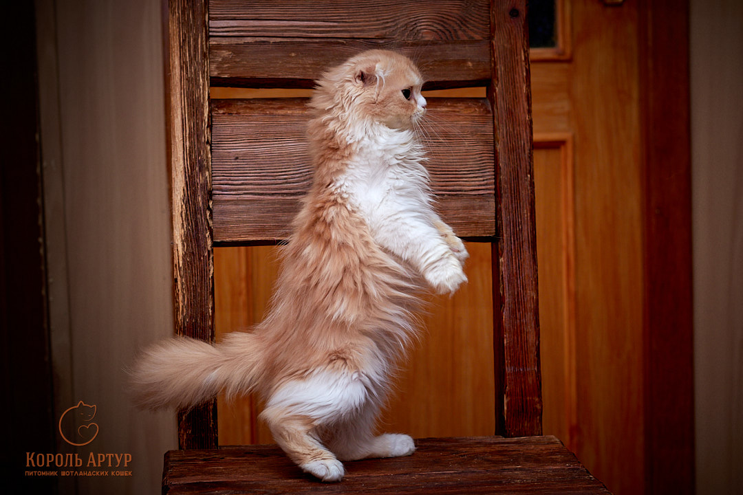 IMG_2263_2022-07-27-inst