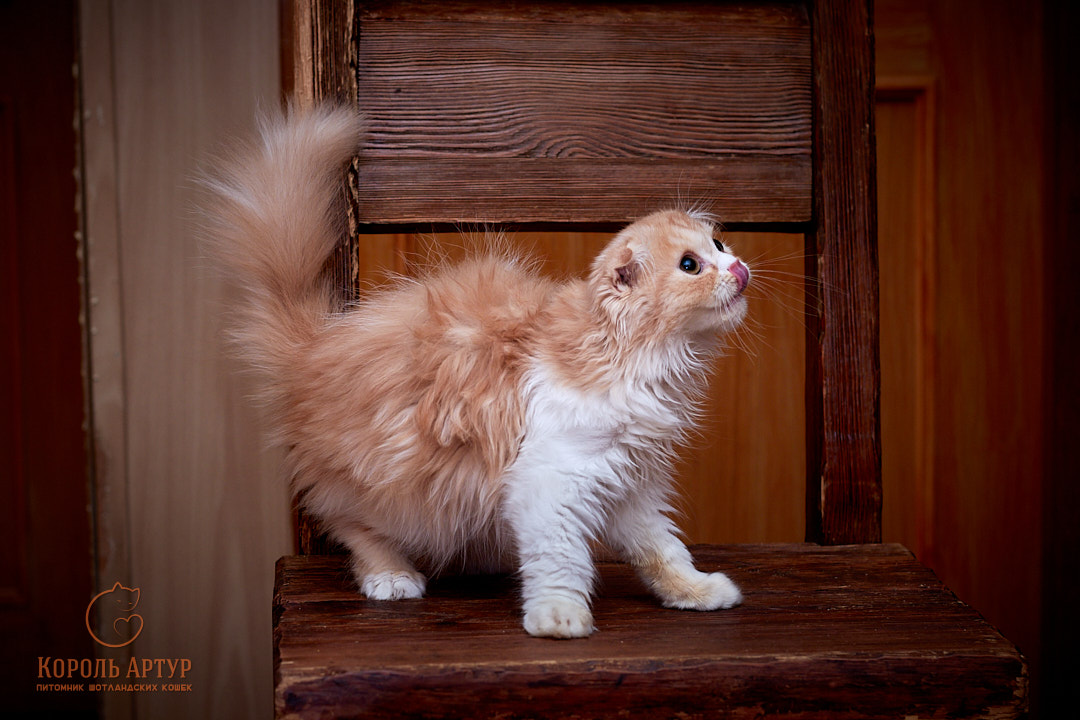 IMG_2266_2022-07-27-inst