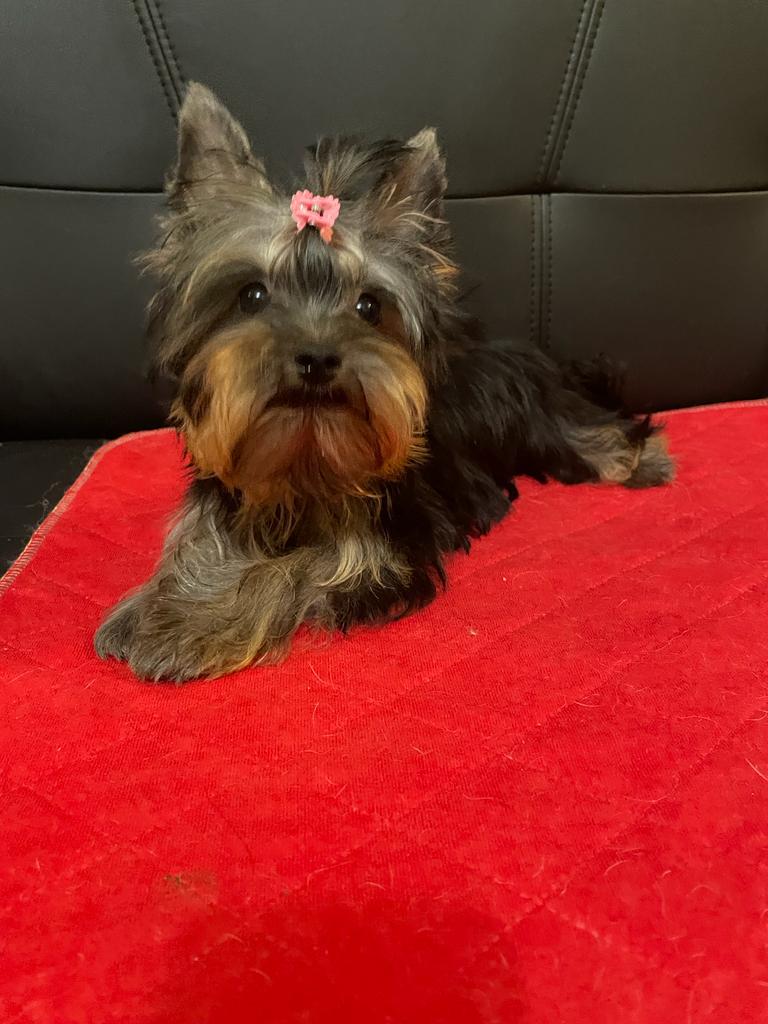 e9141ba2-a4fb-45d9-97c0-85e7d9f7f49b