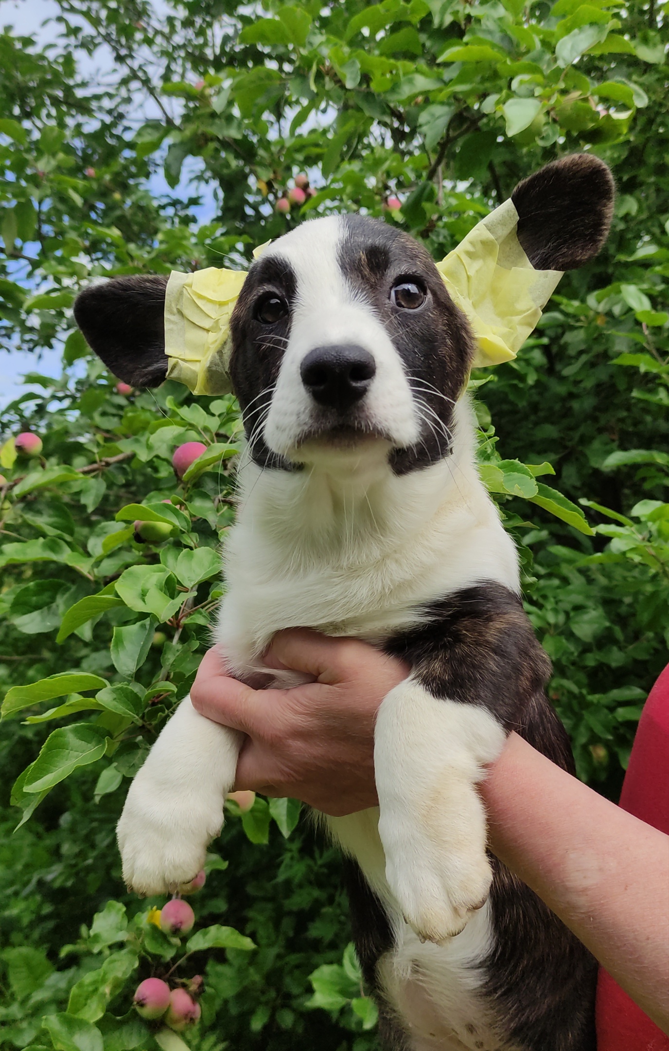 wklhoOYs0bSphNVNZpmk5v9JYl55svUcB6He9ChD4HPu2CnbJz_4ywghLyqbNccBjVBEQqRHkDLzMSEbQL2IwHnA