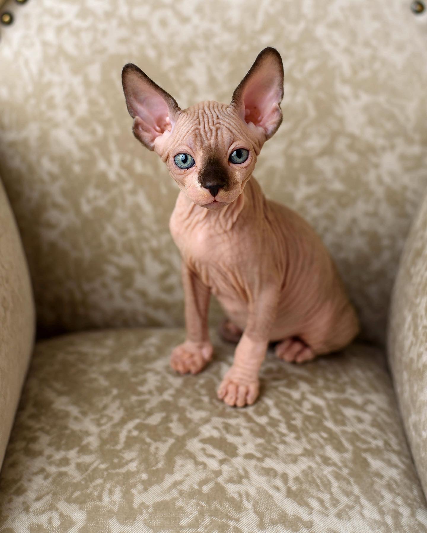 26D17E8C-EC92-4F4E-83B3-B501988394FE