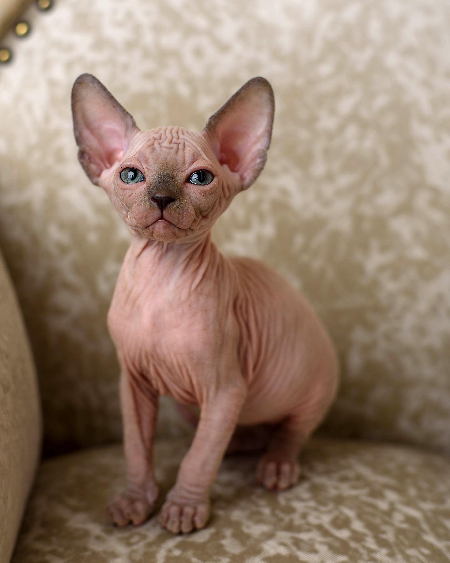 71F3F67A-60A6-4A17-897B-DC778058D058