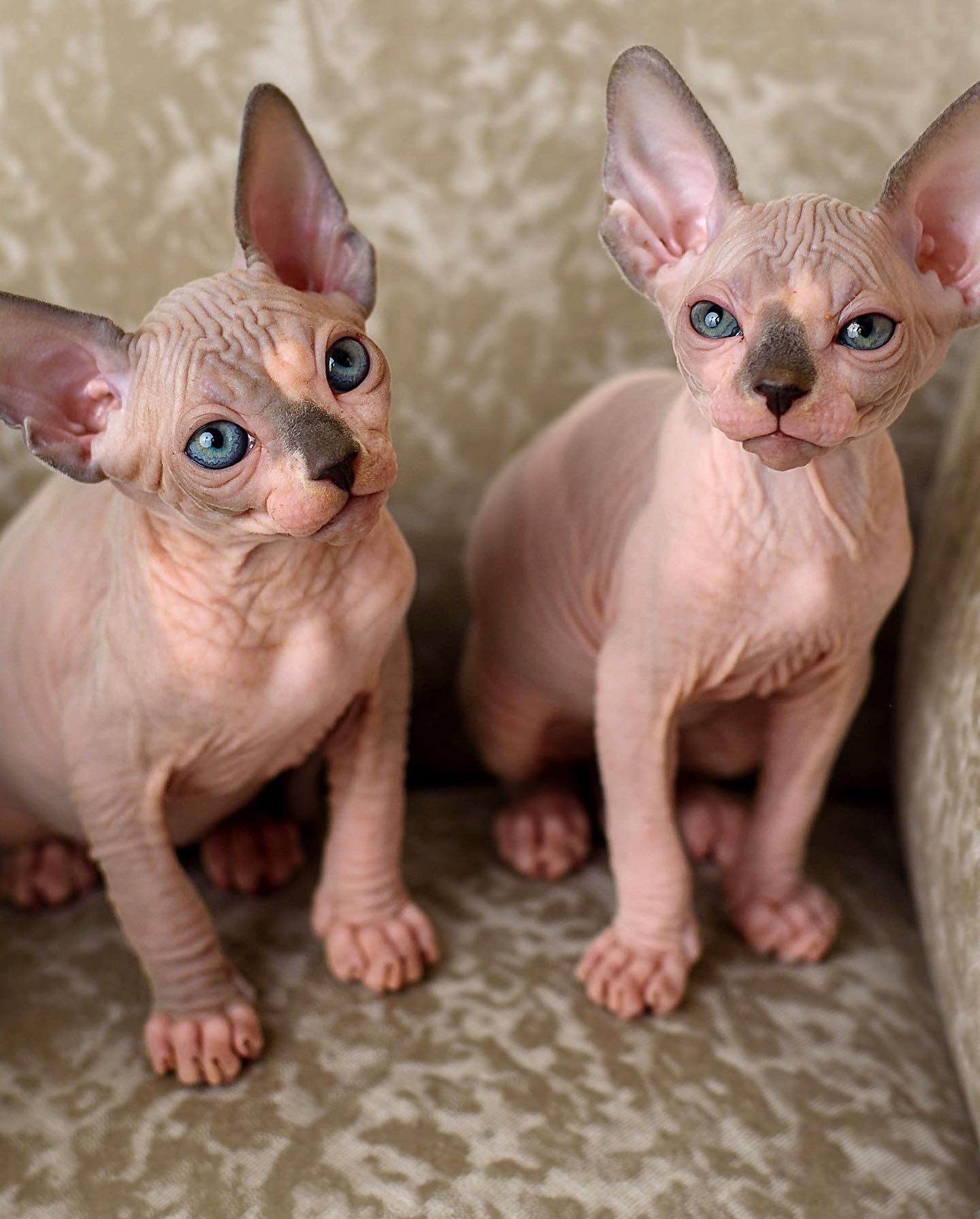 B6CE0A7B-375E-4763-B770-99121766FD24