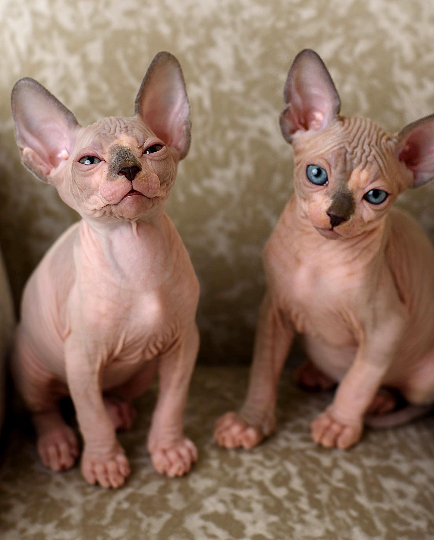 CB1F50A5-101B-4CAD-B067-D6E60F4AF335