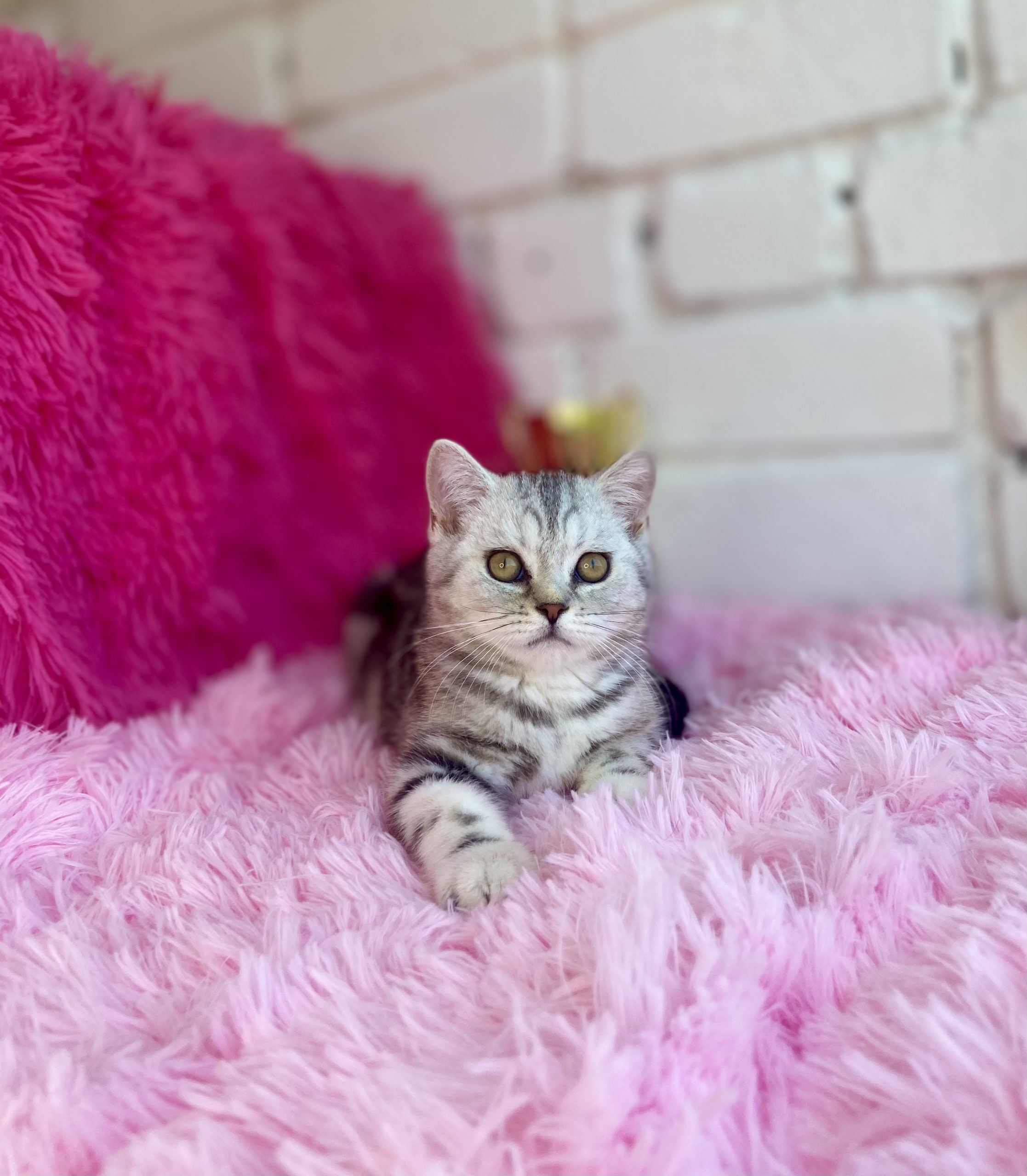 E35E876F-947C-4BC0-9ABD-2A0963A4EC53