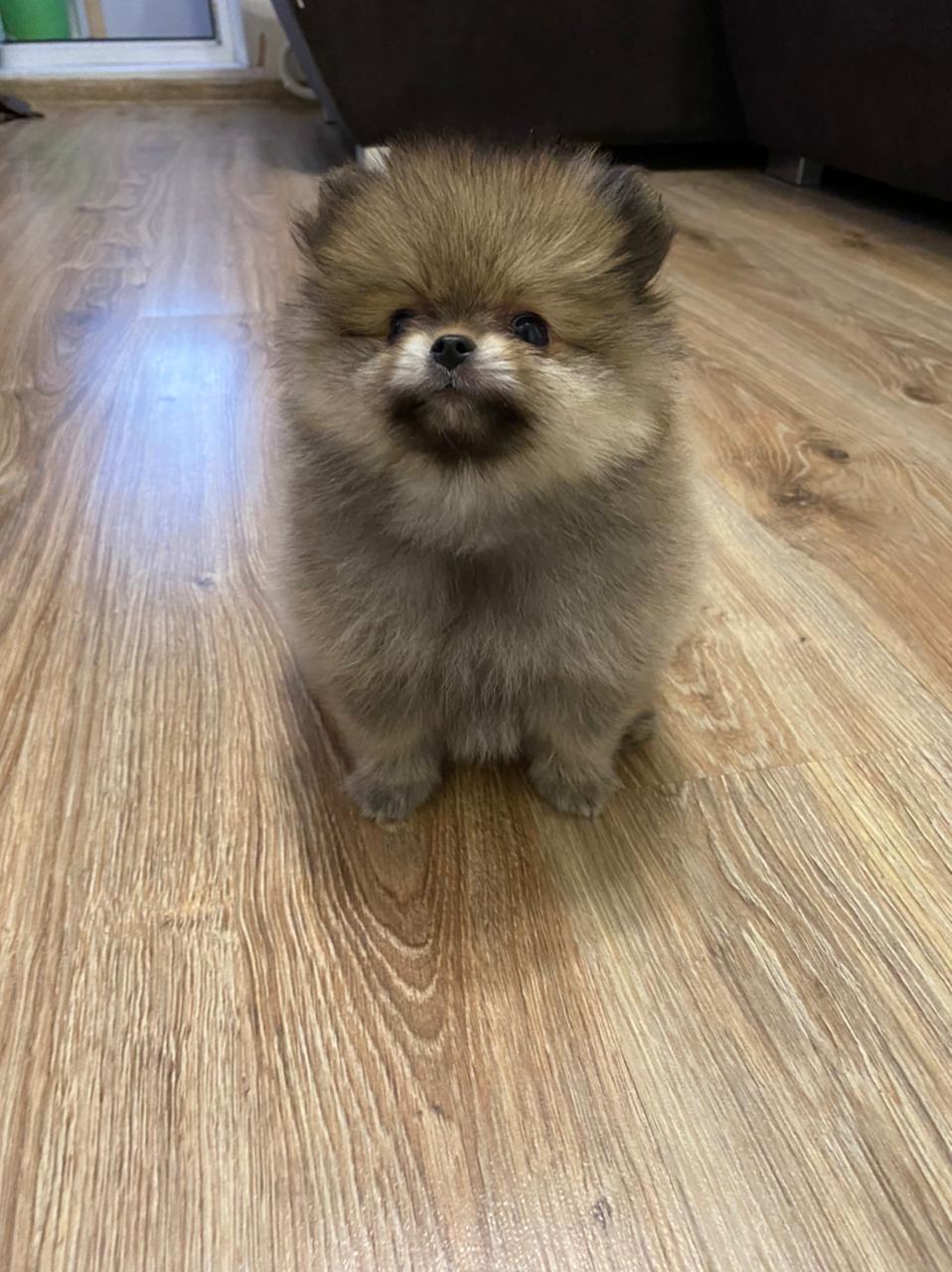 IMG-20220724-WA0034-1