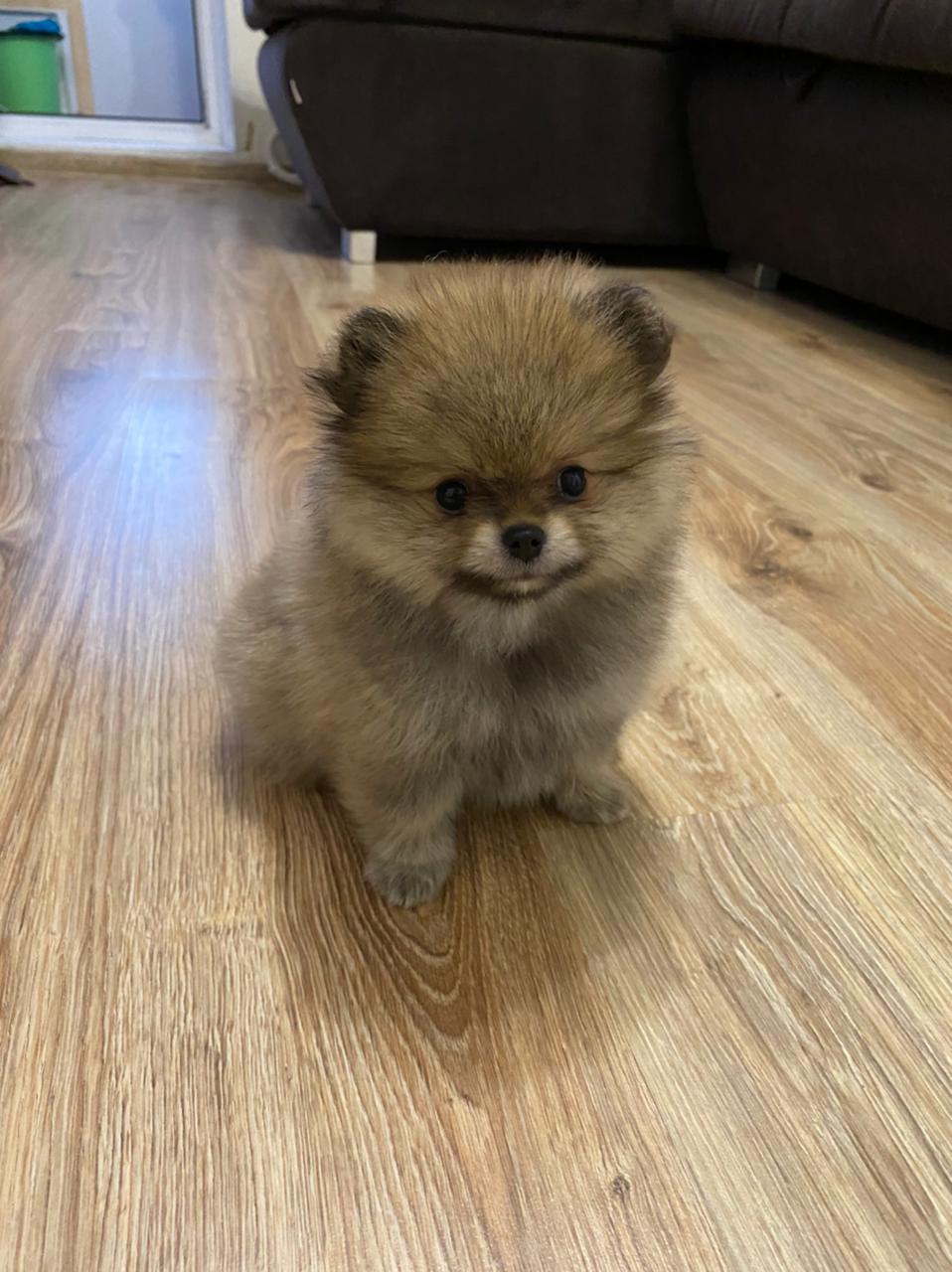 IMG-20220724-WA0036-1