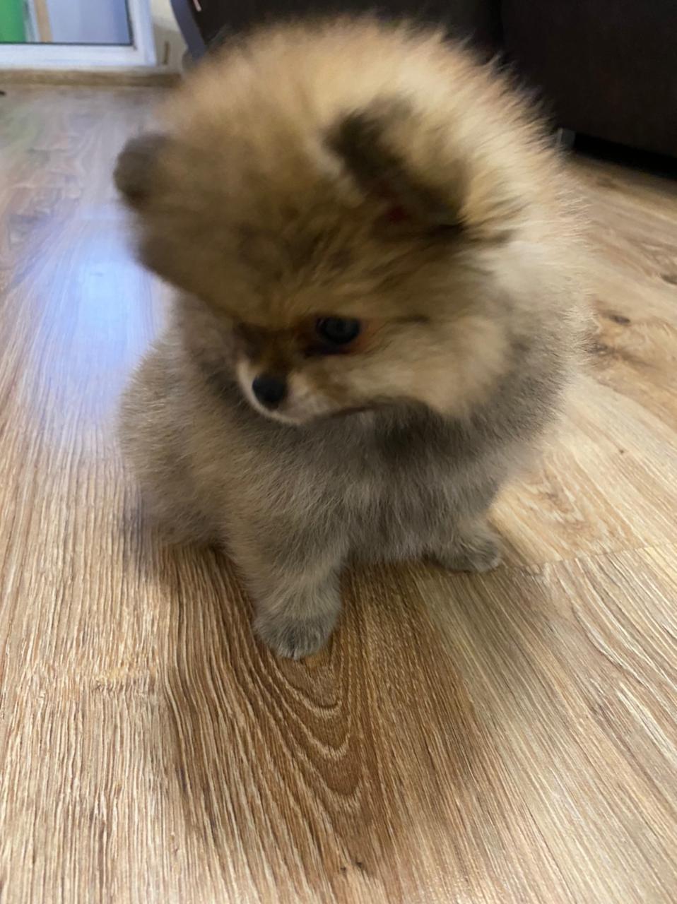 IMG-20220724-WA0037-1