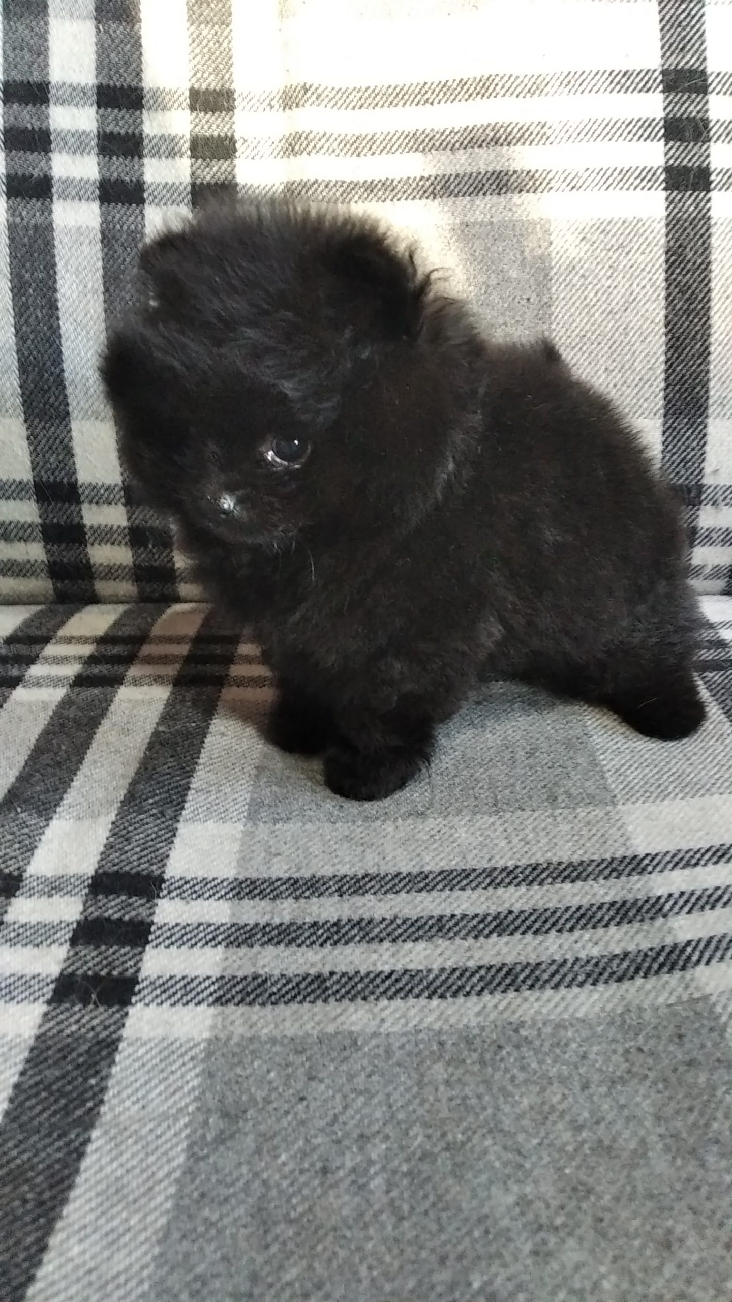 IMG_20220608_195305_BURST5