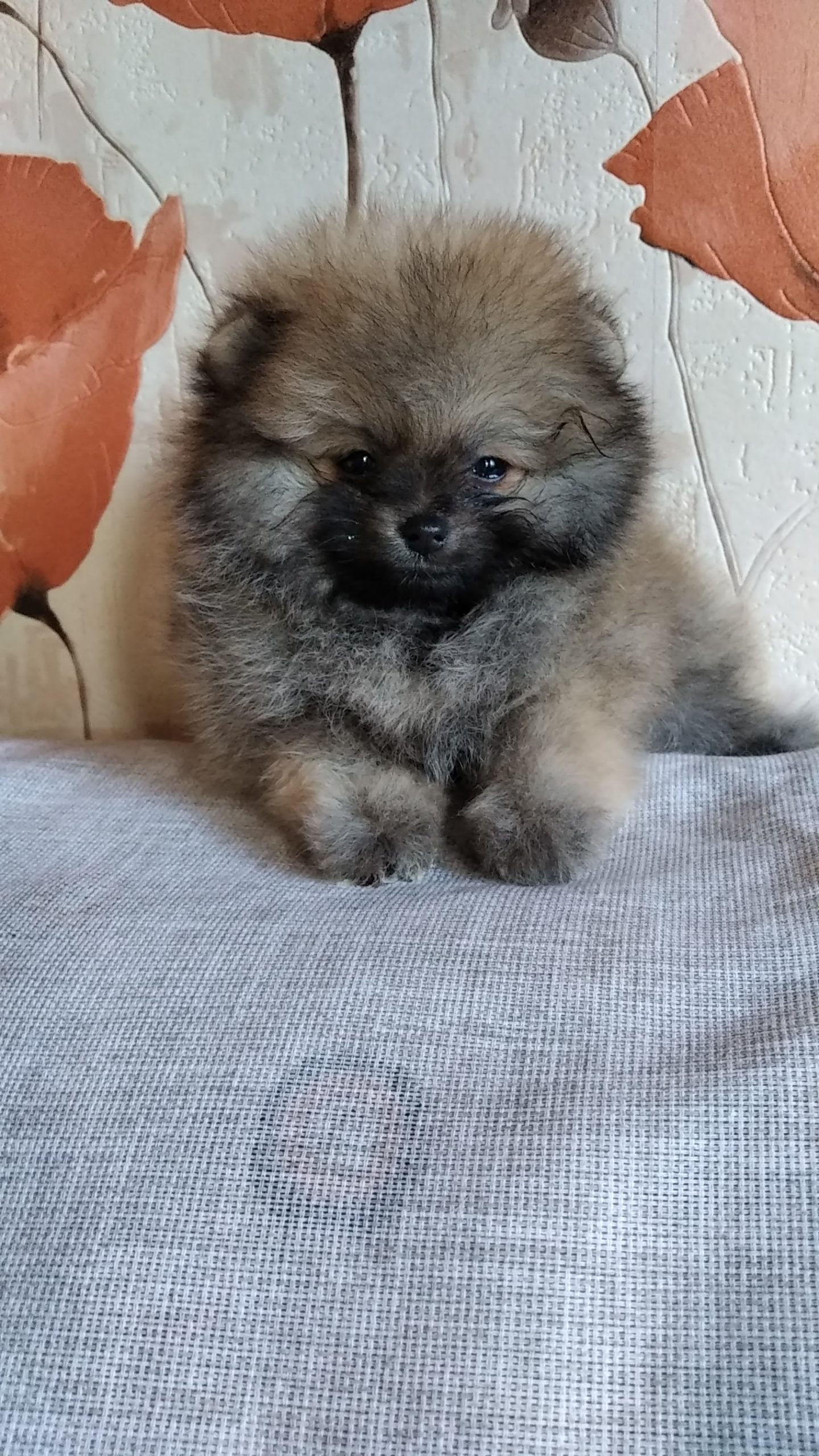 IMG_20220614_133717_BURST15