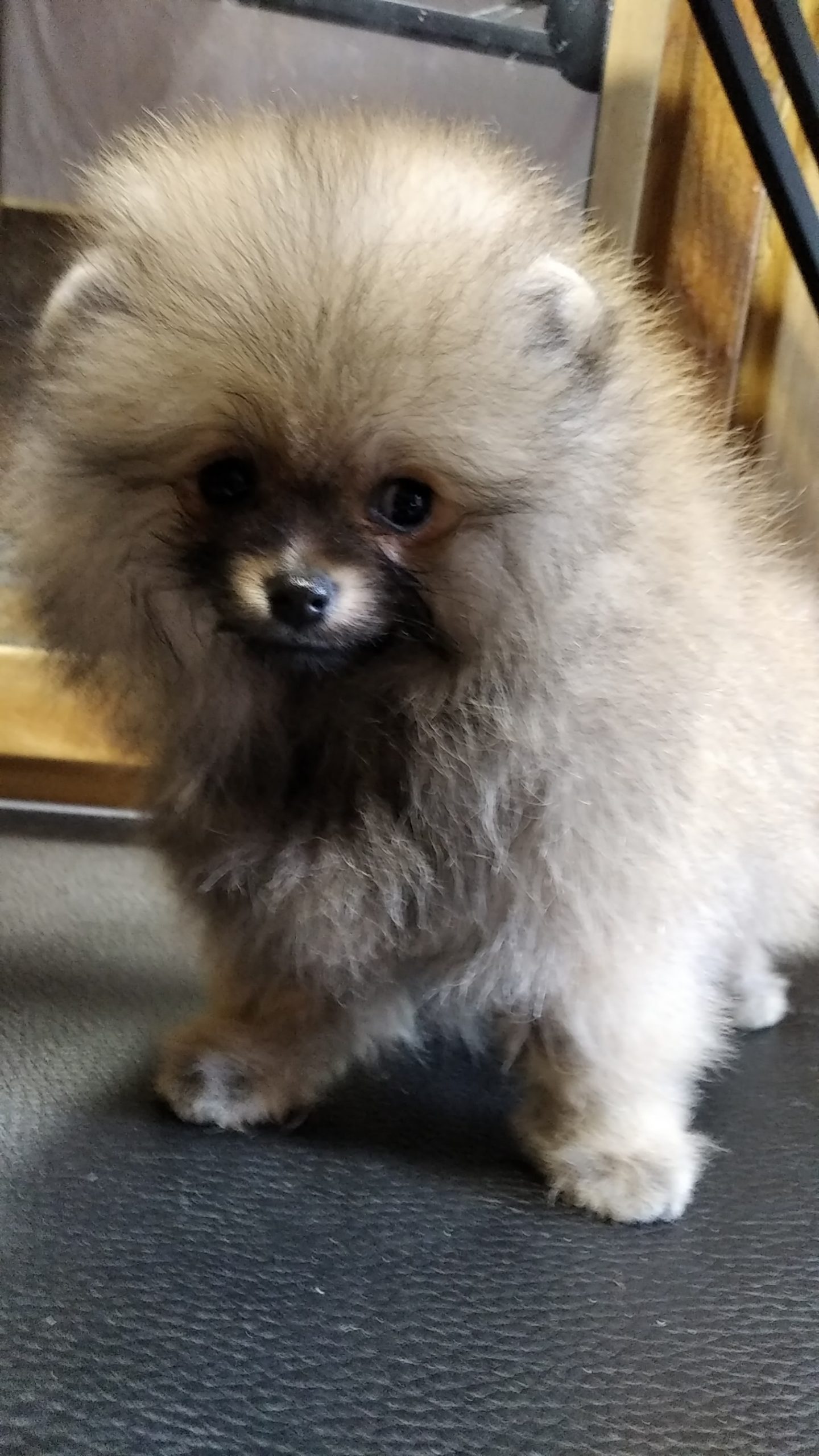 IMG_20220705_103554_BURST3