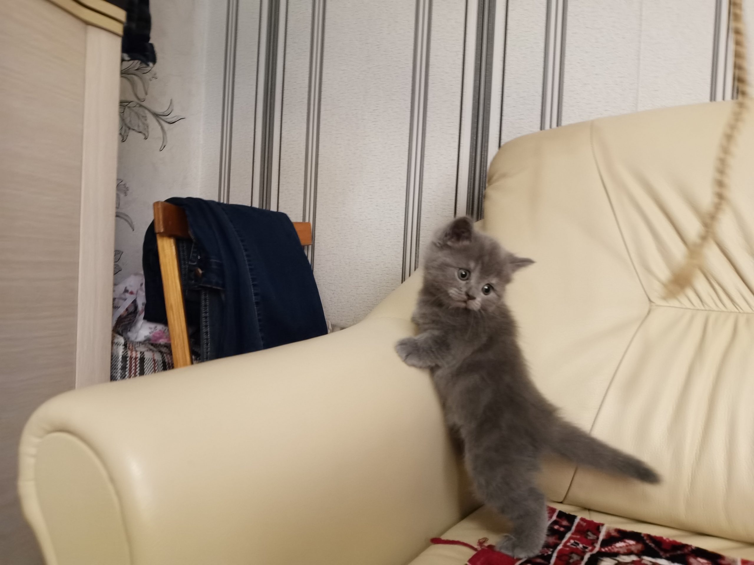 IMG_20220823_201107-1