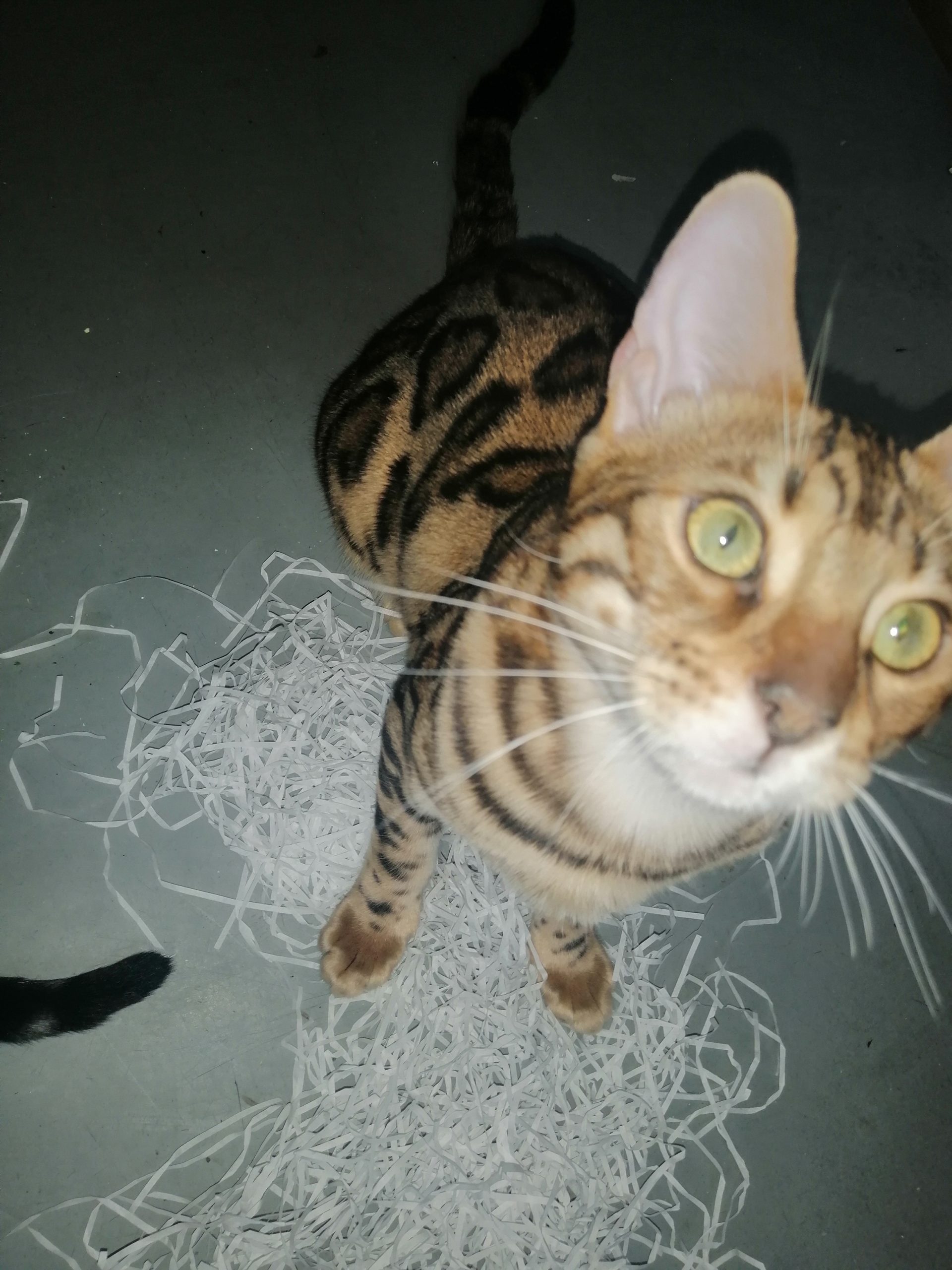 IMG_20220829_191020-1