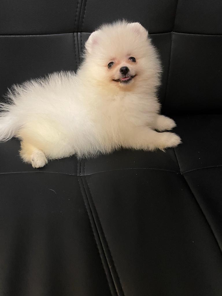 01089df2-e61c-43ec-993e-b47d5b1a17ee