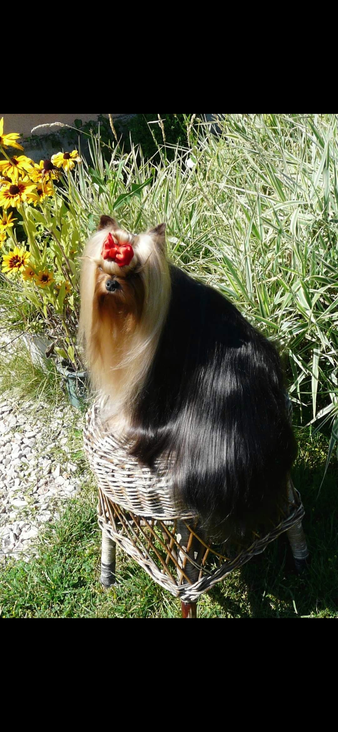 Screenshot_20220902_104045_com.android.gallery3d