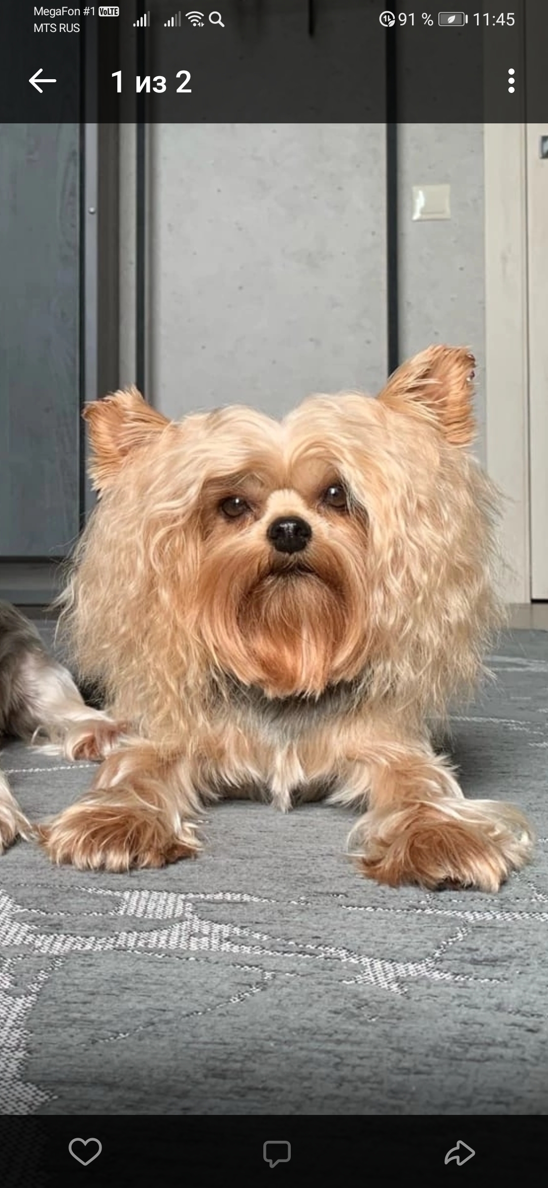 Screenshot_20220904_114558_com.vkontakte.android