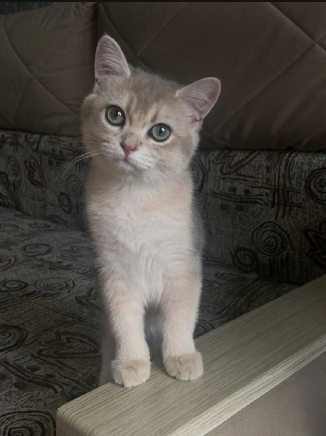 Screenshot_20220924_013537-01