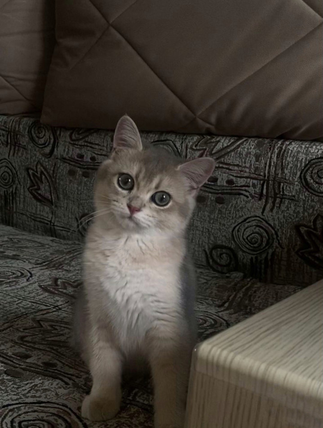 Screenshot_20220924_013610-01