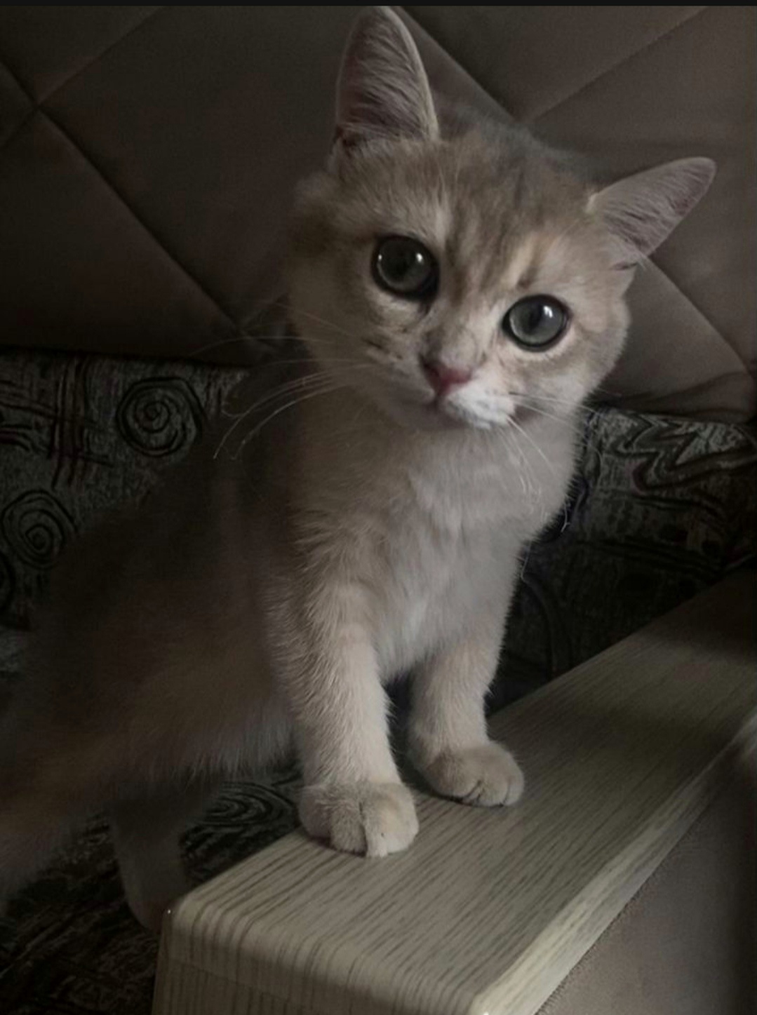 Screenshot_20220924_013701-01