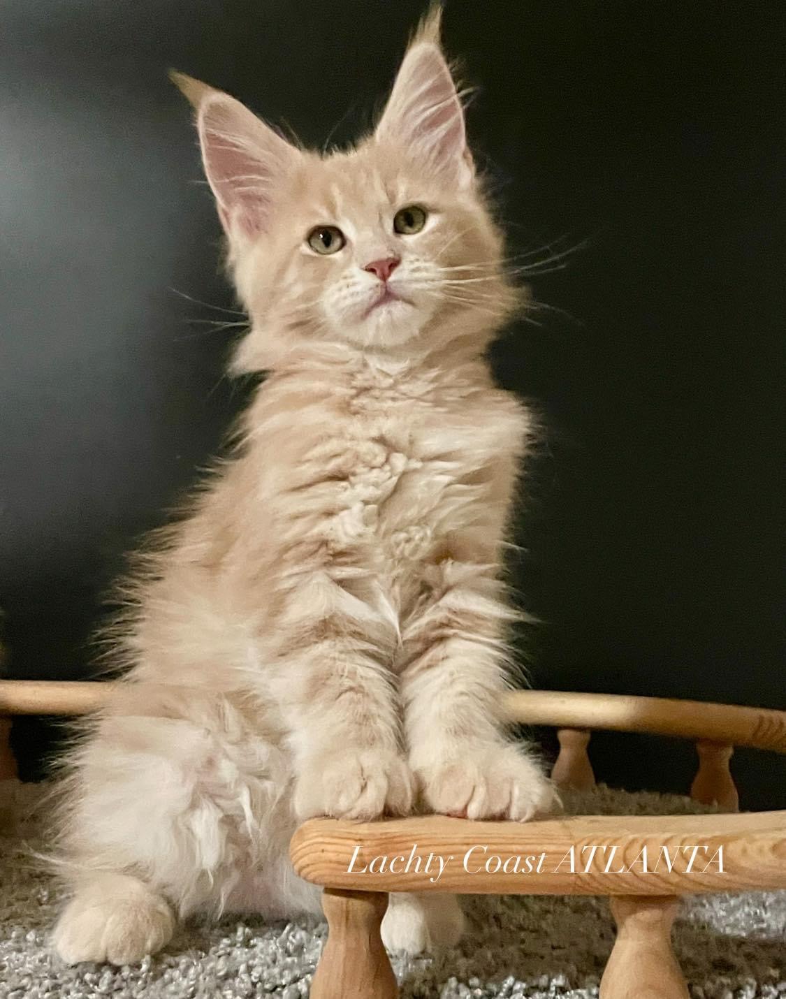 03F27046-0F4C-49E0-B5A4-5963A9B2FD0D