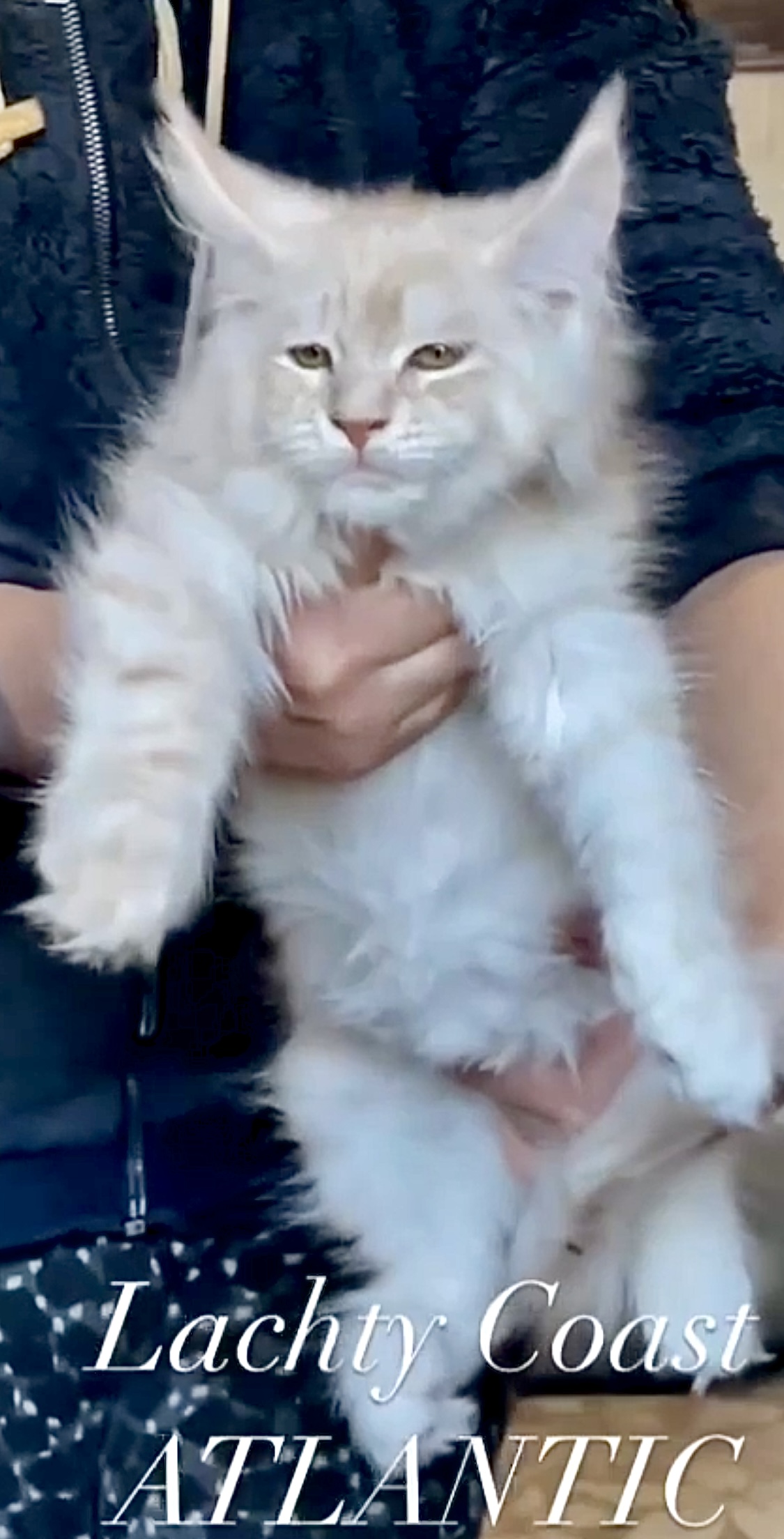 27364179-0E64-4C4E-BBF1-18EC46859CF2