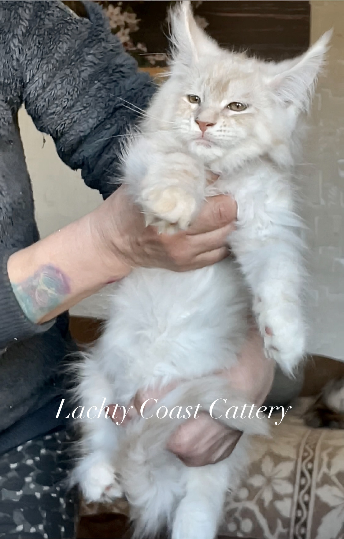 58A22908-3AE3-4396-BA29-B70F74CEA593