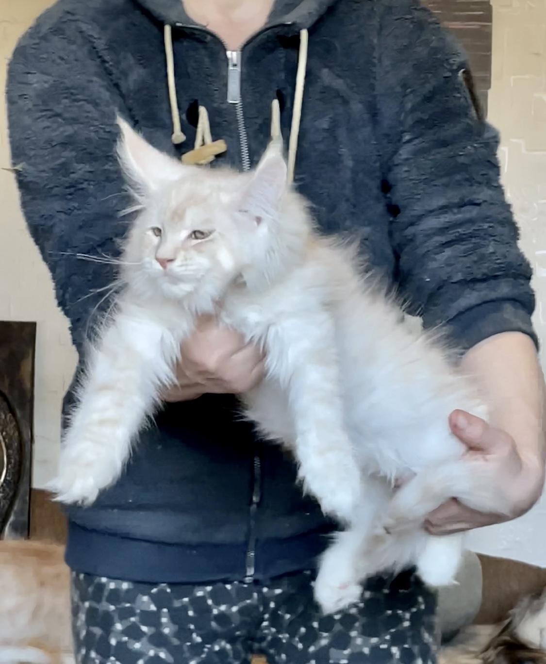 65B1837D-3F44-4C10-8B44-8A07CC77D9FA