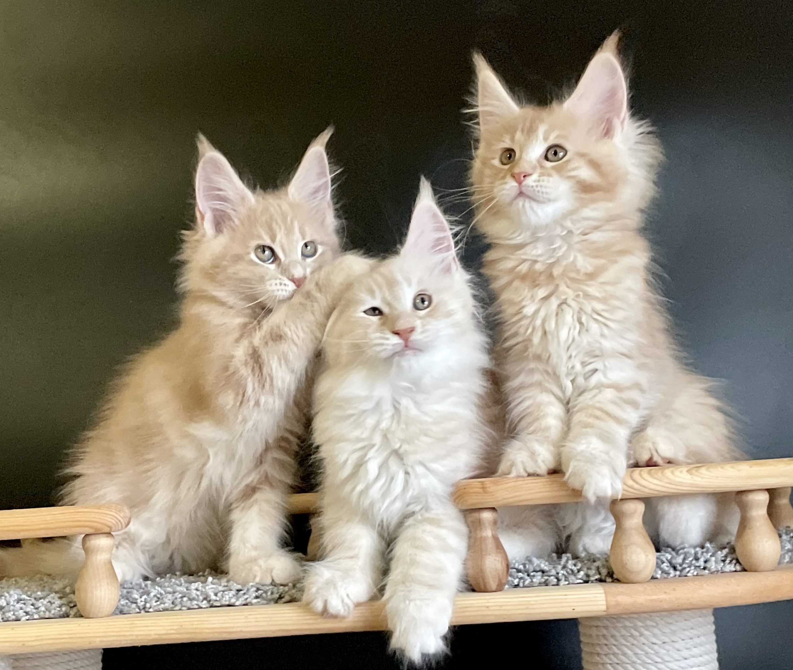 7068A4F6-61D4-4666-B453-0634321D38DF