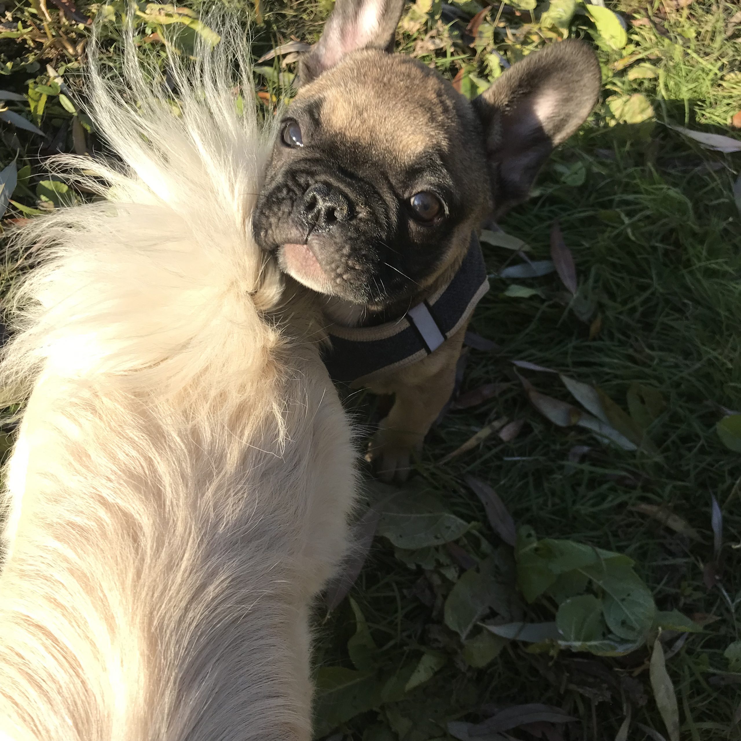 87455803-FDF4-40EF-B476-1249663DD661