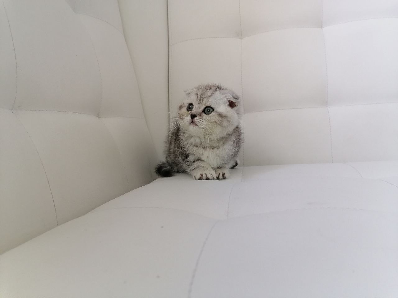 894B87A9-D789-4240-AFED-437080D96916