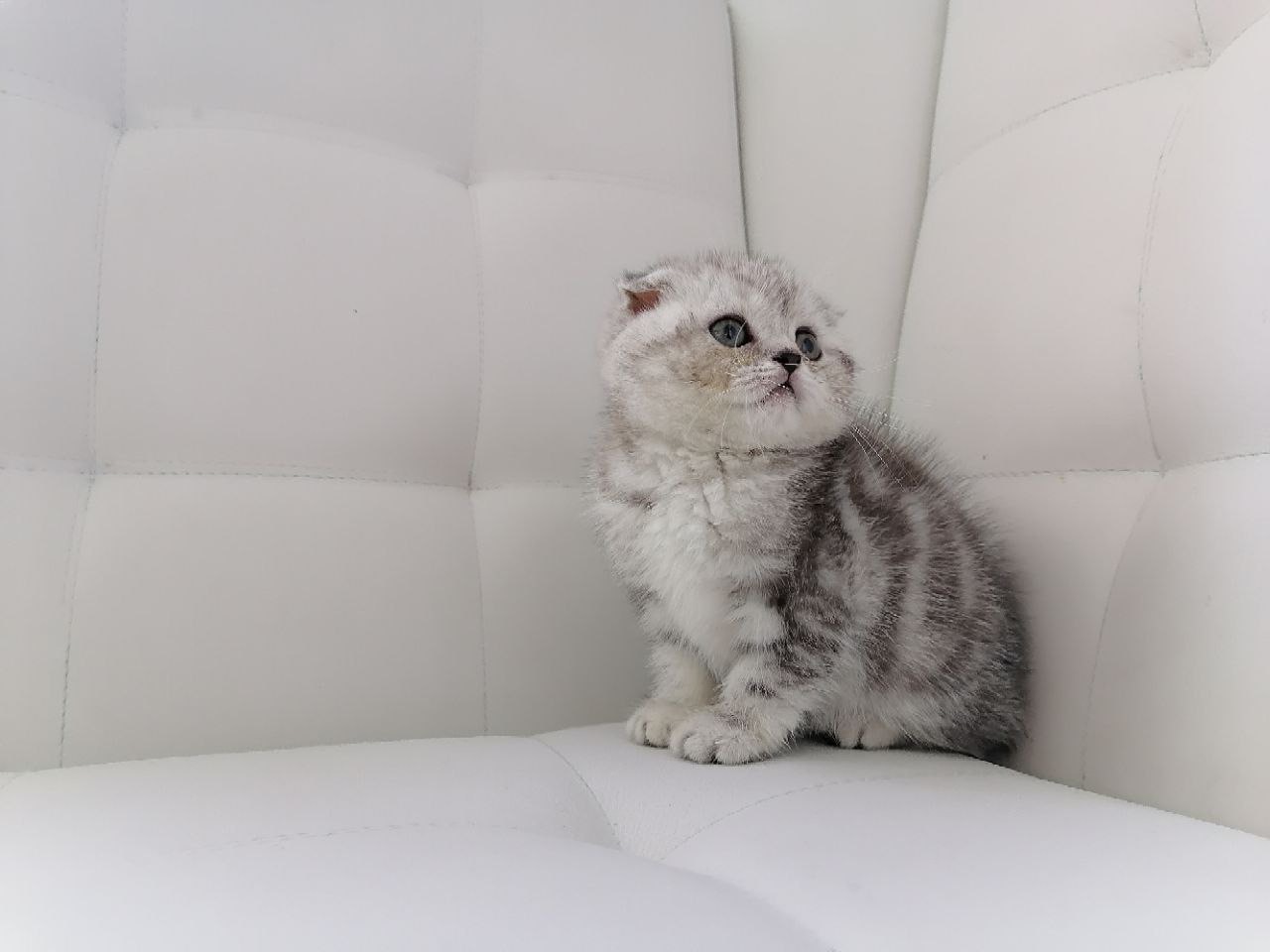 9014D09A-E5EC-4184-979C-FF6184EA9C0A