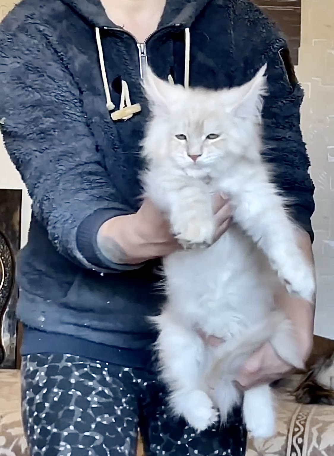 9100C5B7-4176-440E-B548-D71B0631516F