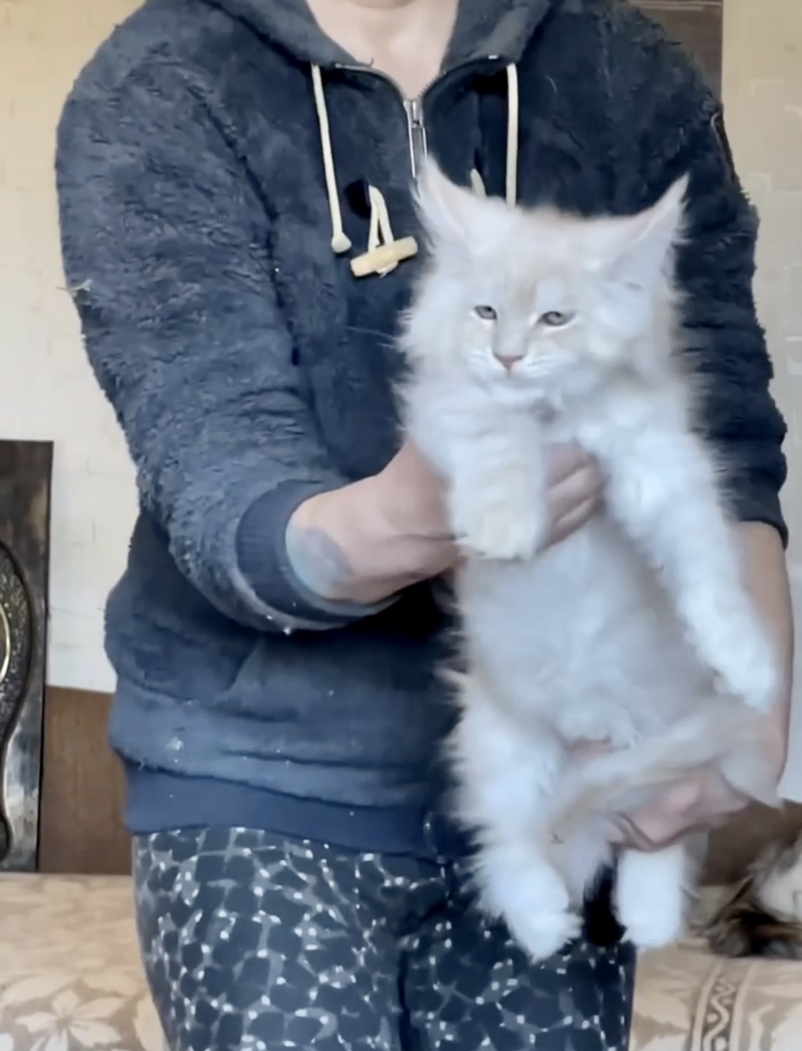 97061DE0-D00E-4BBA-BC09-2F3D35071E47