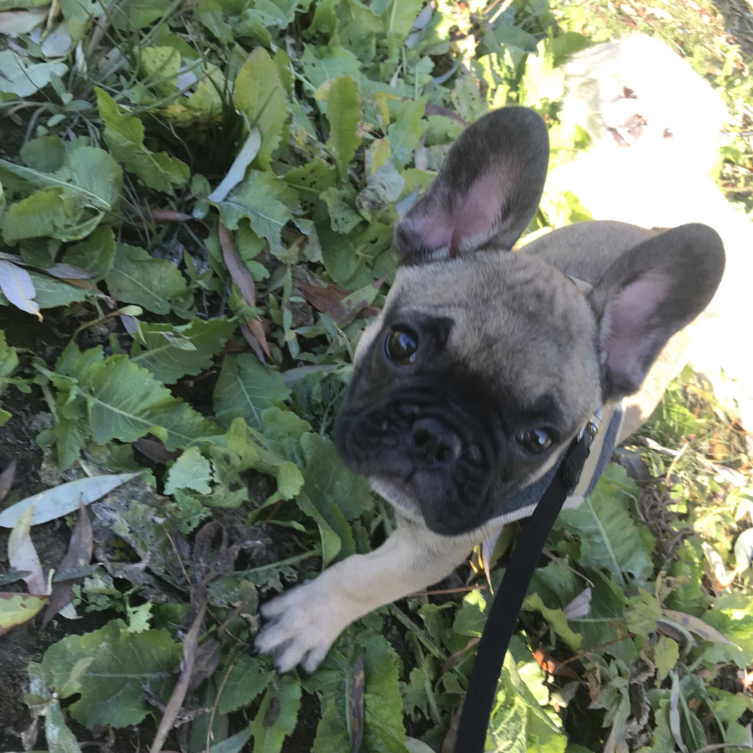 AA5F8BFF-E6CD-4BDC-AC0C-F9BF214127C6