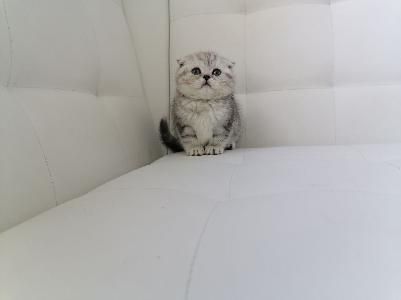 C53FFDEA-1C06-416B-9C48-7E1B05603965