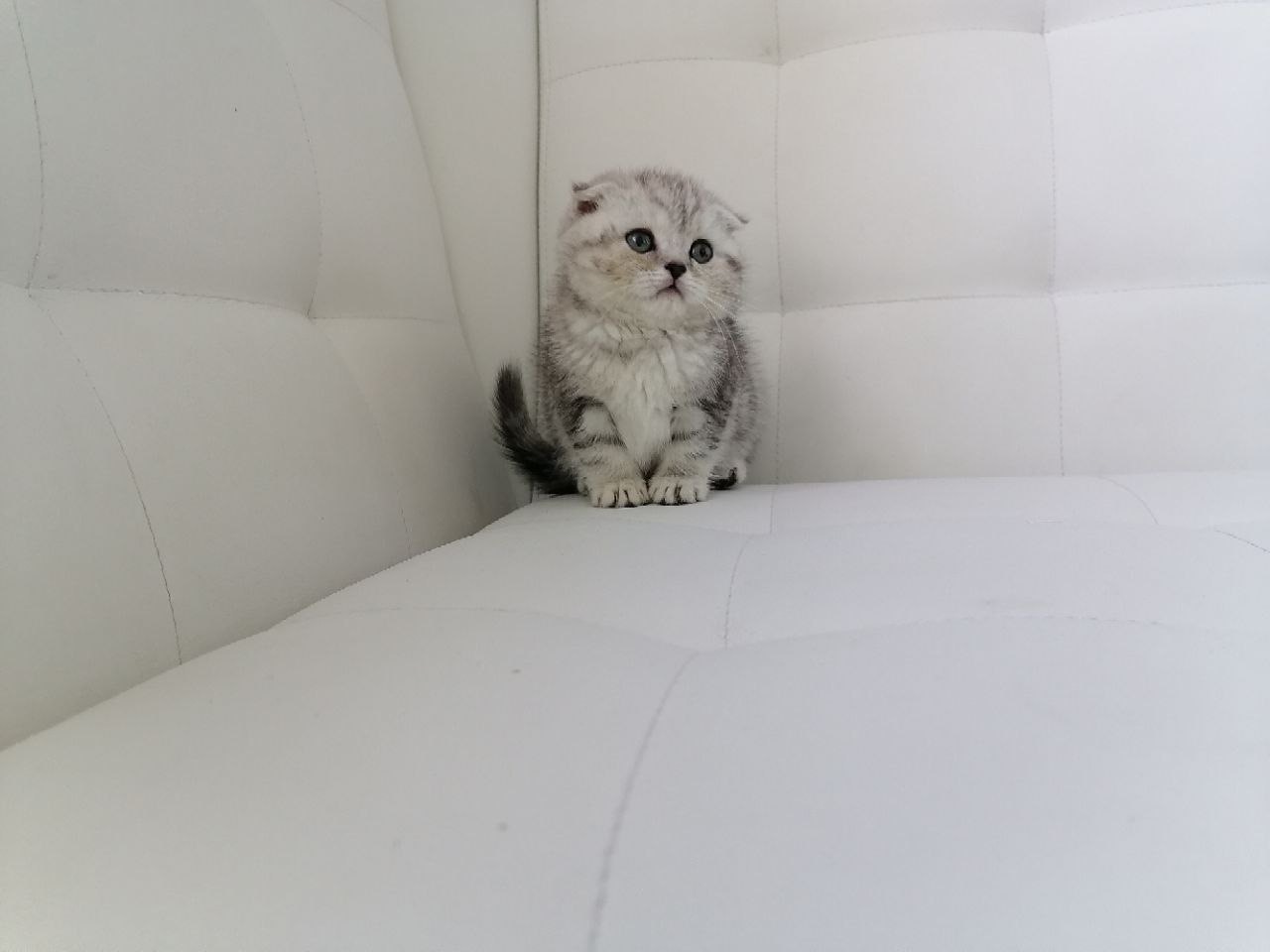 C91C8875-4169-4182-A1CB-E5D139367E2D