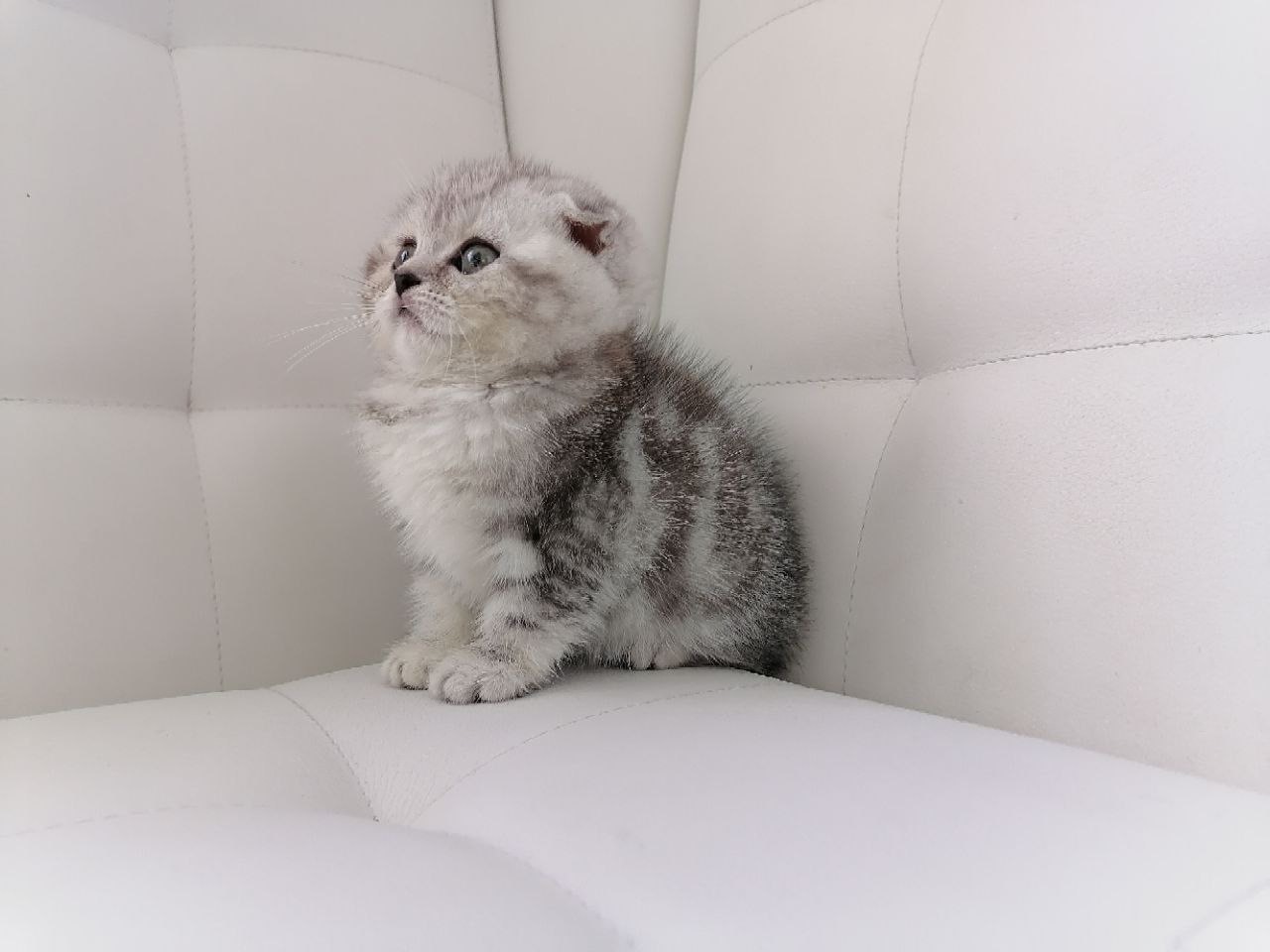 F1FF774F-8082-45CF-969B-6388E24364D9