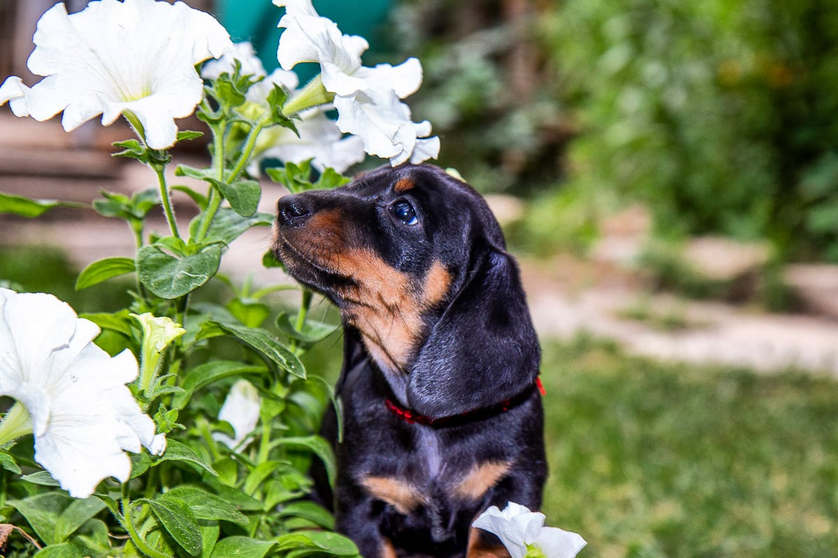 IMG_20220804_220158_016