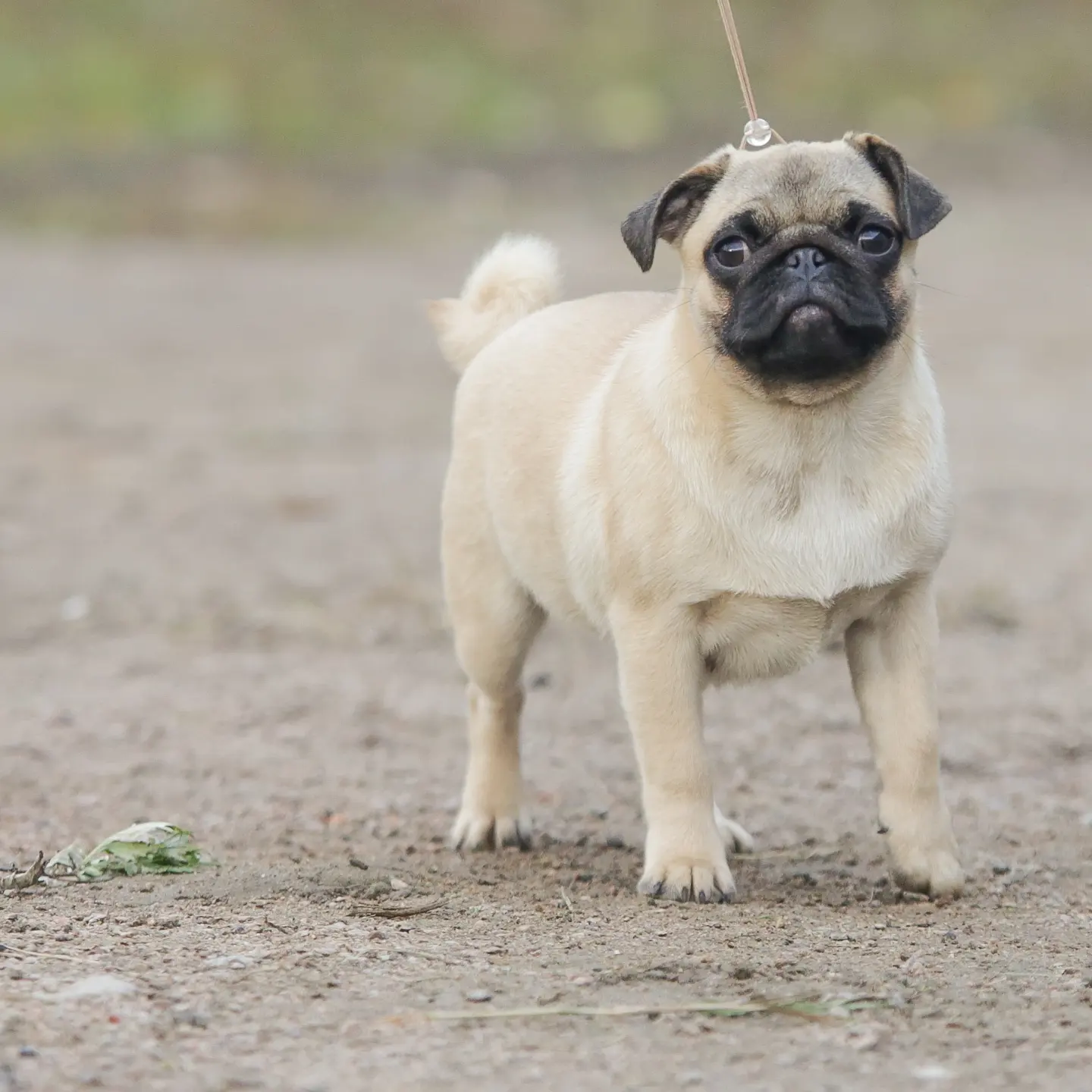 IMG_20221023_181159_098