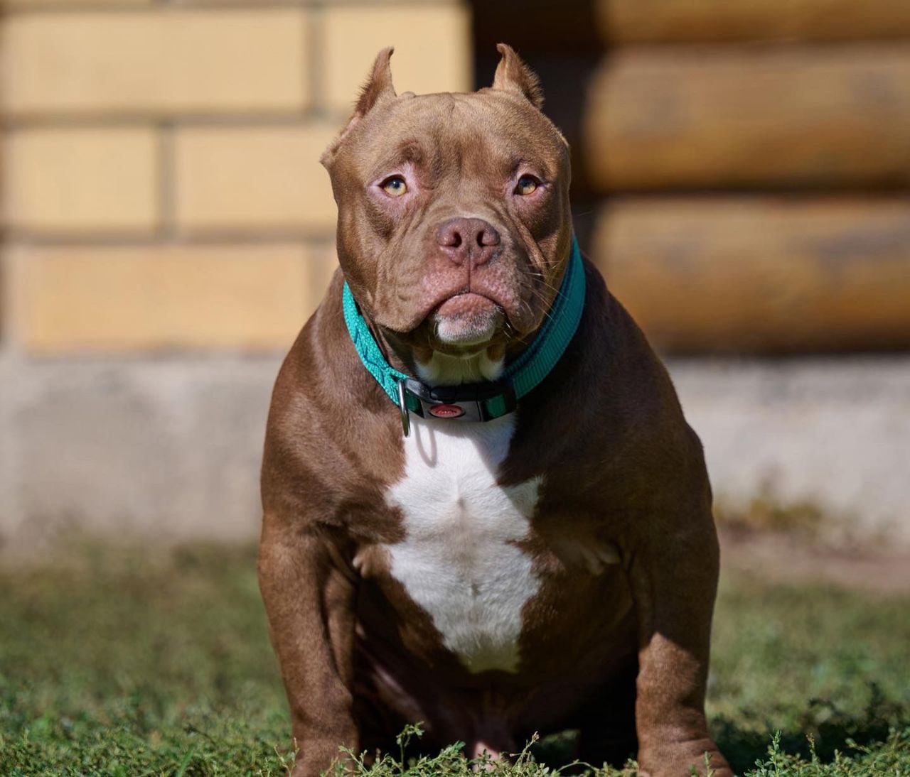 photo_2022-10-11_12-48-02