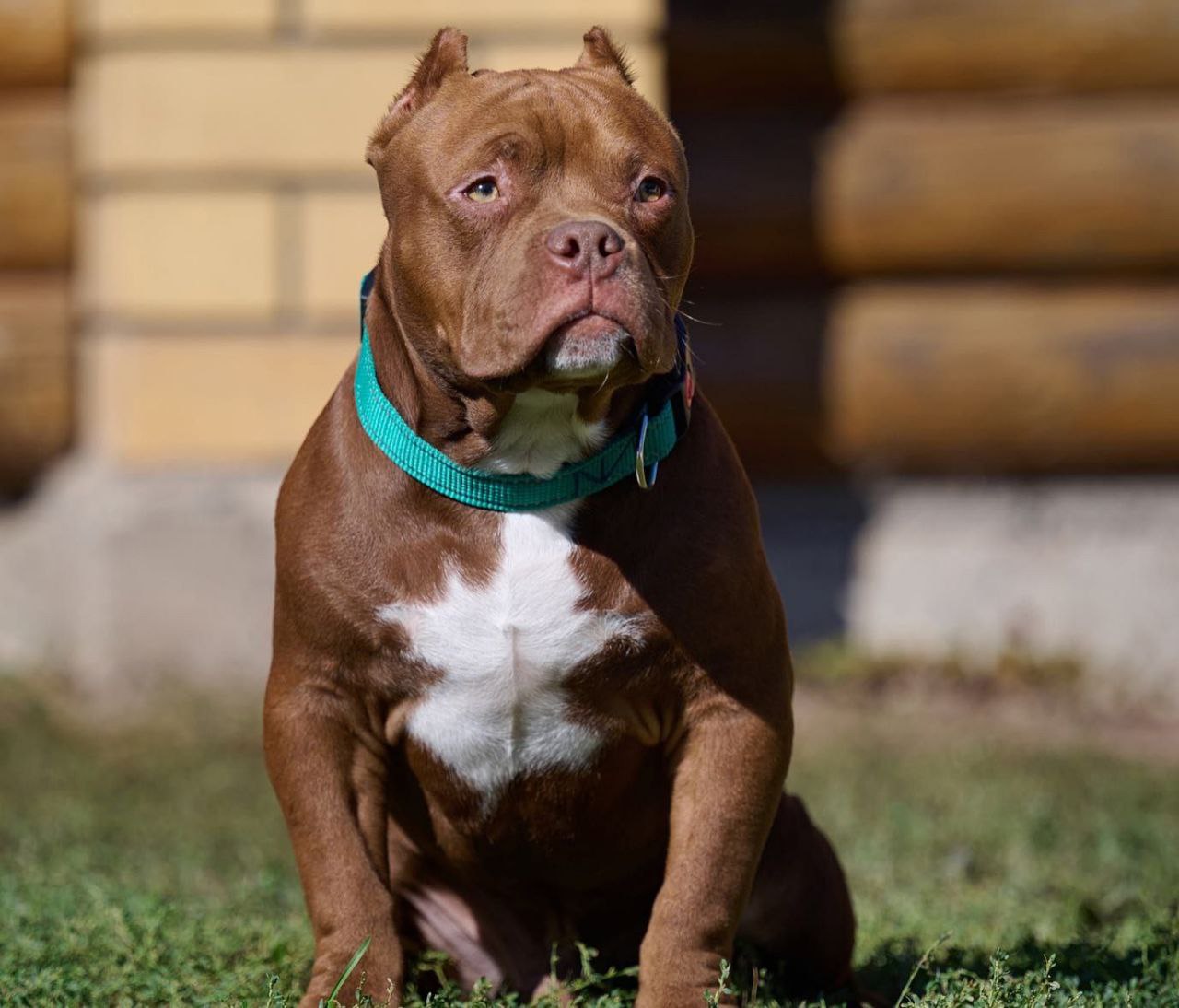 photo_2022-10-11_12-48-07