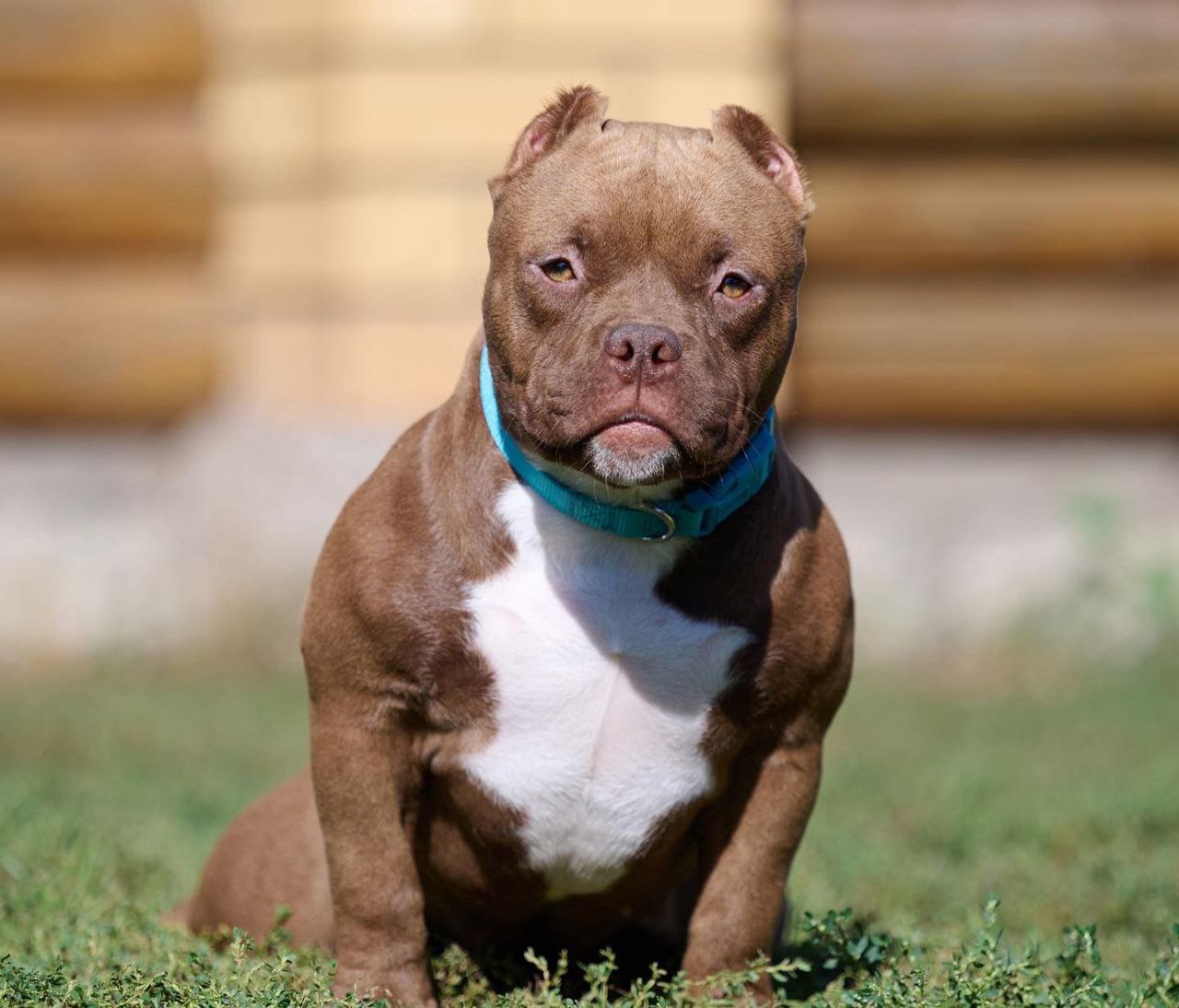 photo_2022-10-11_12-48-11