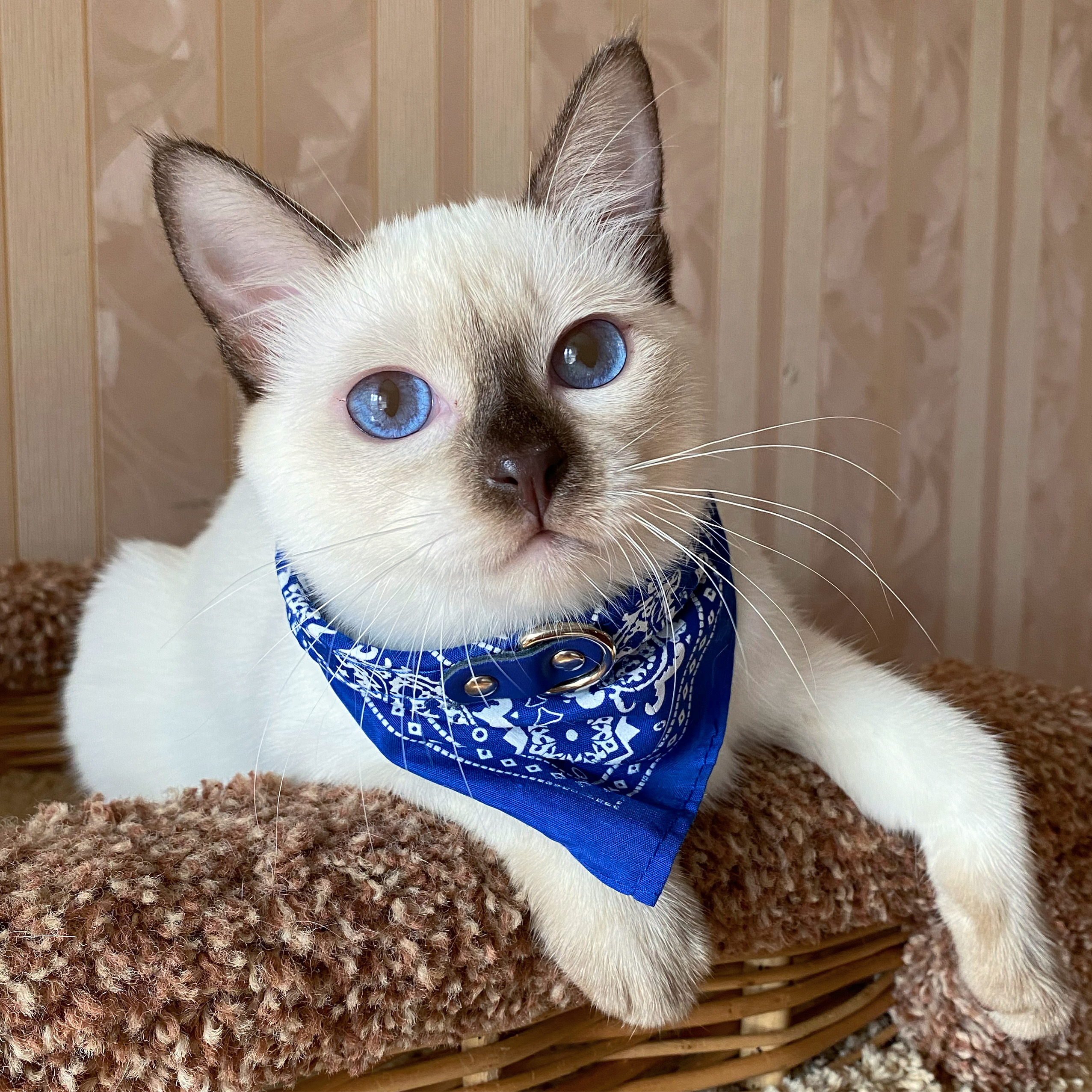 2088A8D7-E5DF-4A3F-B06C-97DF4350D8E2