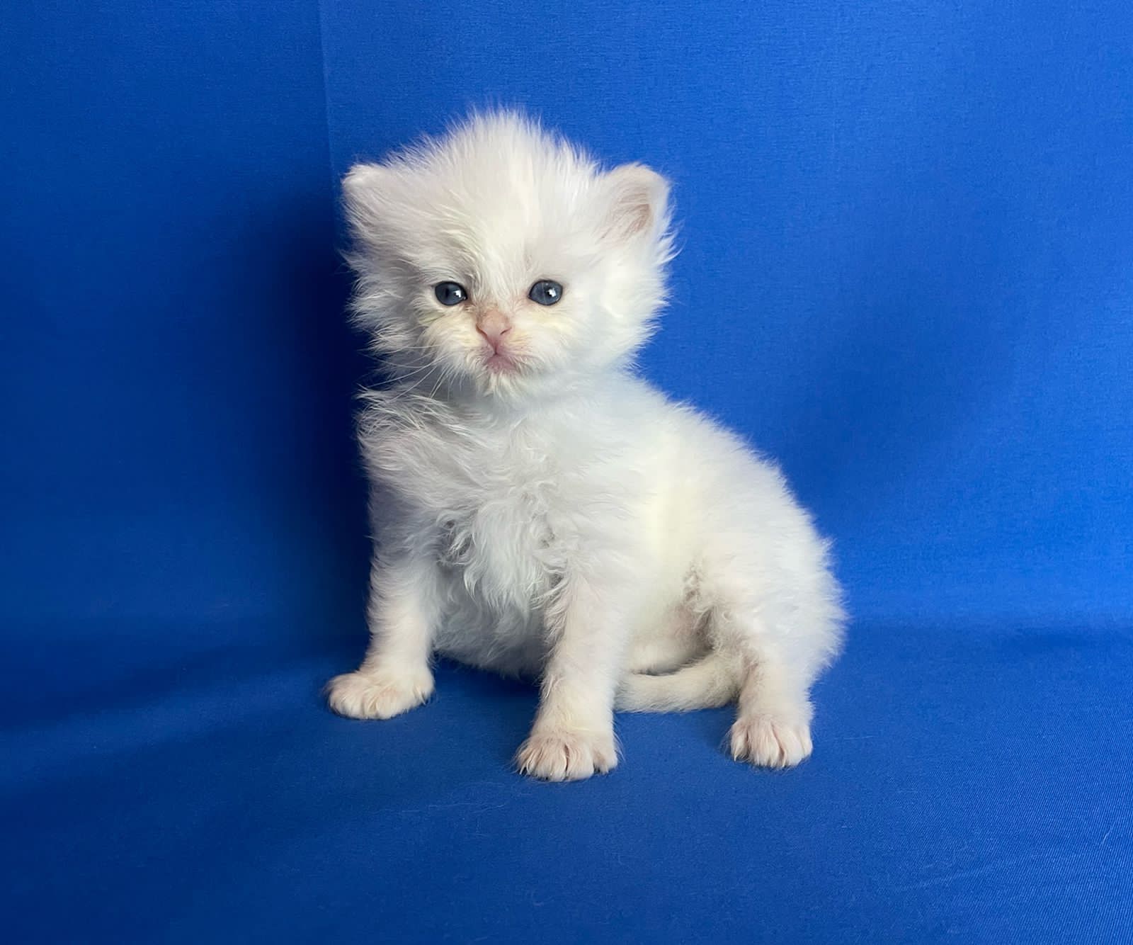 46547FAC-04A4-4B11-B5B1-50FA01B4896F